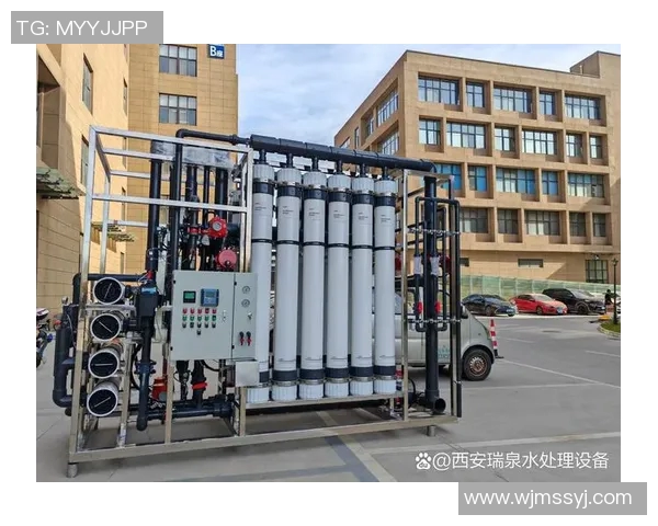 泳池用品大集合：必备泳池清洁设备、水质维护工具与休闲娱乐设备推荐