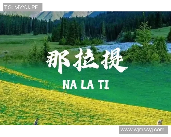 畅享大自然的无限魅力：十大必试户外活动带你探索野外极限之美