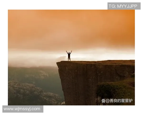 世界纪录保持者的非凡成就与背后故事：打破极限与超越自我的人生轨迹