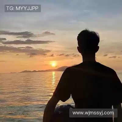 曹泽莎